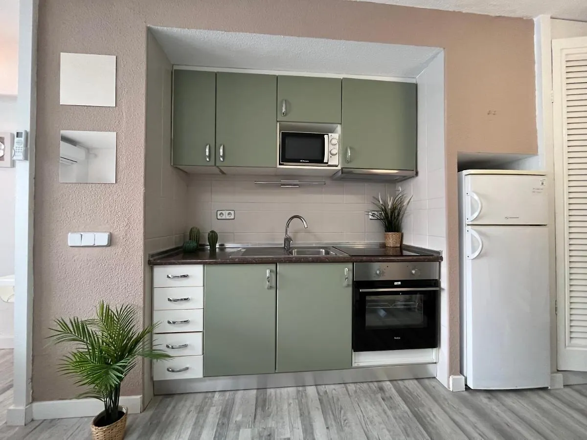 Naty Apartaments 阿尔库迪亚 西班牙